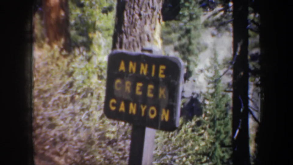 A closer 8mm frame shows the Annie Creek Canyon sign in front of a tree trunk and green roadside vegetation.