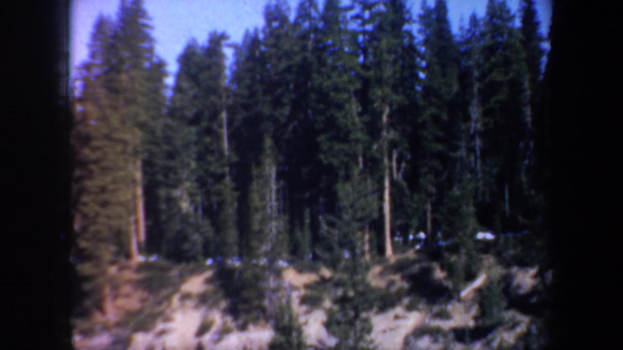 Evergreen trees above a pale rocky canyon edge with dark film borders.