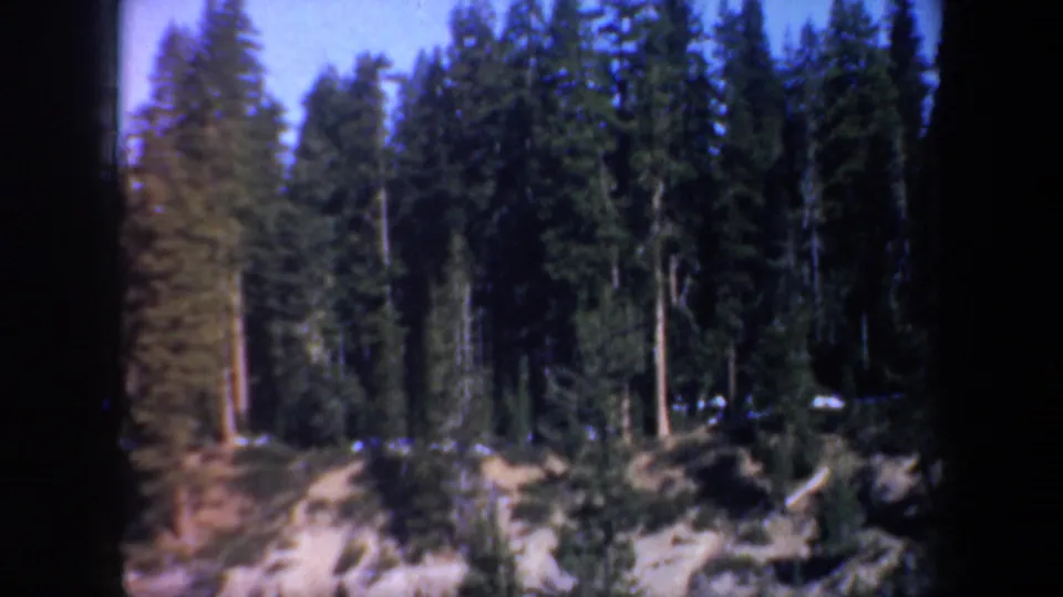 1957 Oregon 8mm frame showing tall evergreens and a pale rocky canyon edge under blue sky.