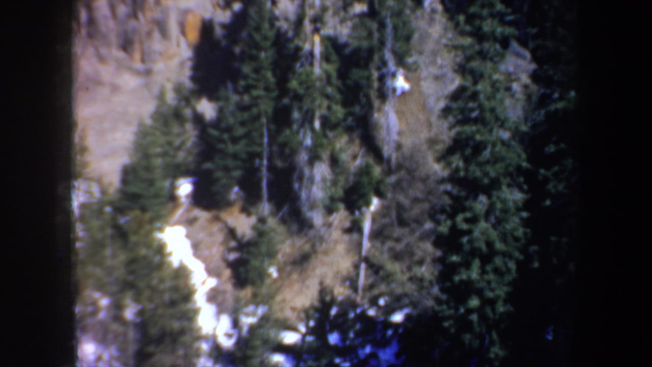 Evergreen-covered cliffside with white snow streaks below.