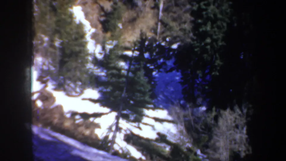 Final 8mm frame of a winter forested slope near Portland, Oregon, with snow, evergreens, and dark shadowed branches.