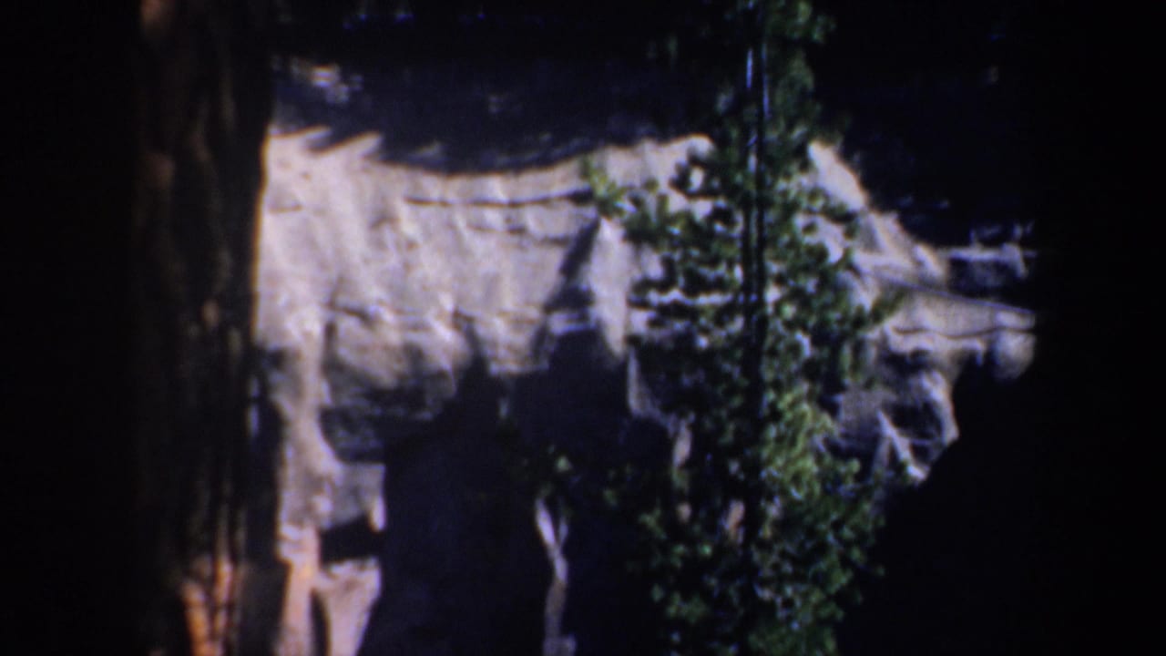 1957 Oregon 8mm frame showing dark tree trunks and evergreen foliage against a sunlit, rugged rock face.