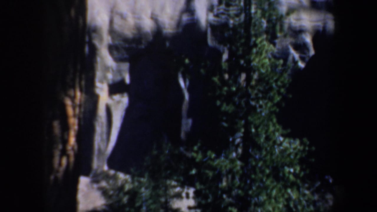A vertical cliff wall appears behind dense evergreen trees.