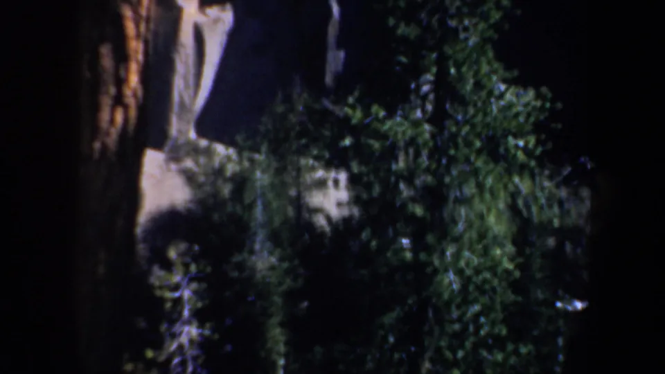 1957 home-movie frame with dark trunks, green foliage, and lower cliff detail in a forested Oregon setting.