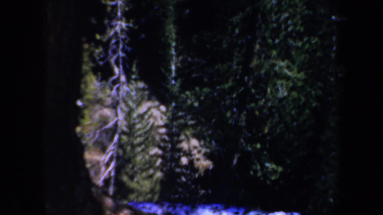 1957 Oregon 8mm frame showing shadowed evergreen trees and a small bright snow or ice patch near the forest floor.