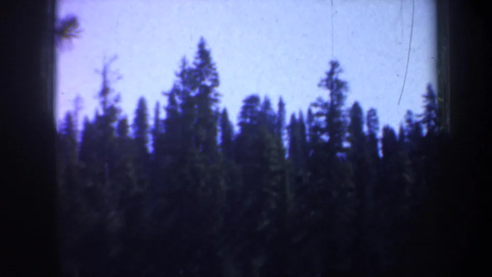 Tall evergreens stand against a pale sky in the supplied 1957 Portland, Oregon home-movie footage.