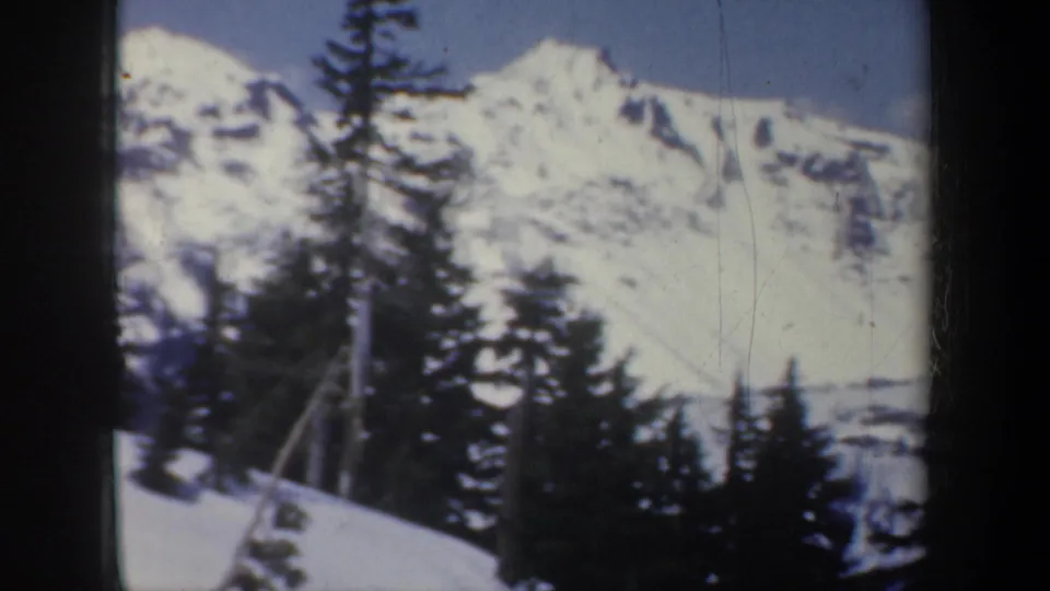 1957 8mm frame looking past evergreen trees toward a bright snow-covered mountain ridge under a pale blue sky.