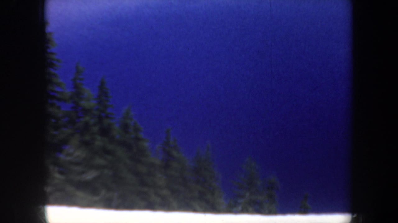 1957 Oregon 8mm frame showing dense evergreen treetops under a saturated blue sky, with visible scan borders.