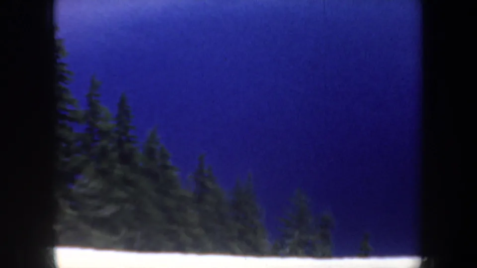 1957 Oregon 8mm frame showing dense evergreen treetops under a saturated blue sky, with visible scan borders.