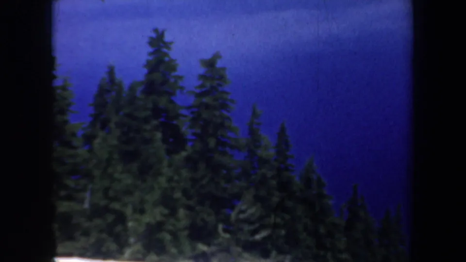 1957 Oregon 8mm view of tall conifers silhouetted against a strong blue sky, framed by dark scan edges.