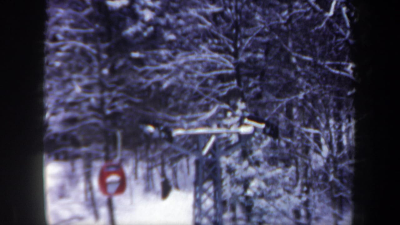 Ski lift gondola and tower seen through snowy forest.