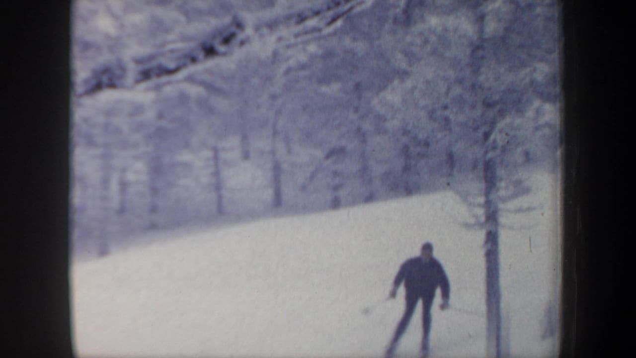 Skier in dark clothing descends a snowy slope between winter trees.