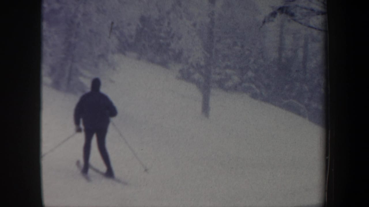 Distant skier in dark clothing on a snowy slope among trees.