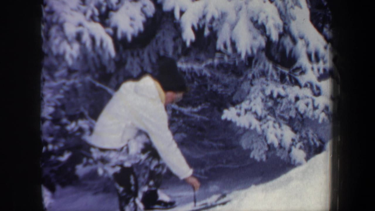Skier reaches down toward the snow while standing among snowy evergreen trees.
