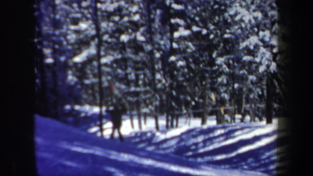 Distant person moves along a snowy trail bordered by dense evergreen trees.