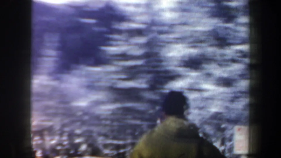 Home-movie frame from New Hampshire showing a person from behind beside snowy trees and a small trail sign.