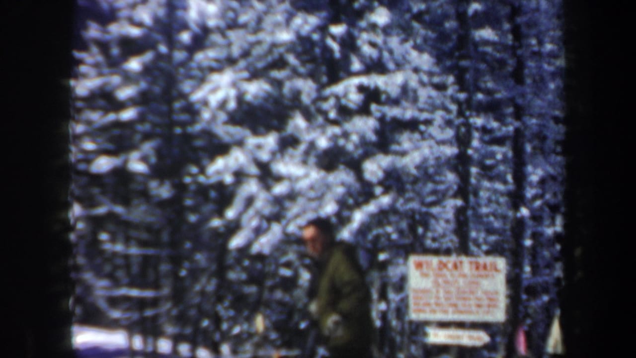 1962 New Hampshire 8mm frame showing a skier near a Wildcat Trail sign among snow-covered evergreen trees.