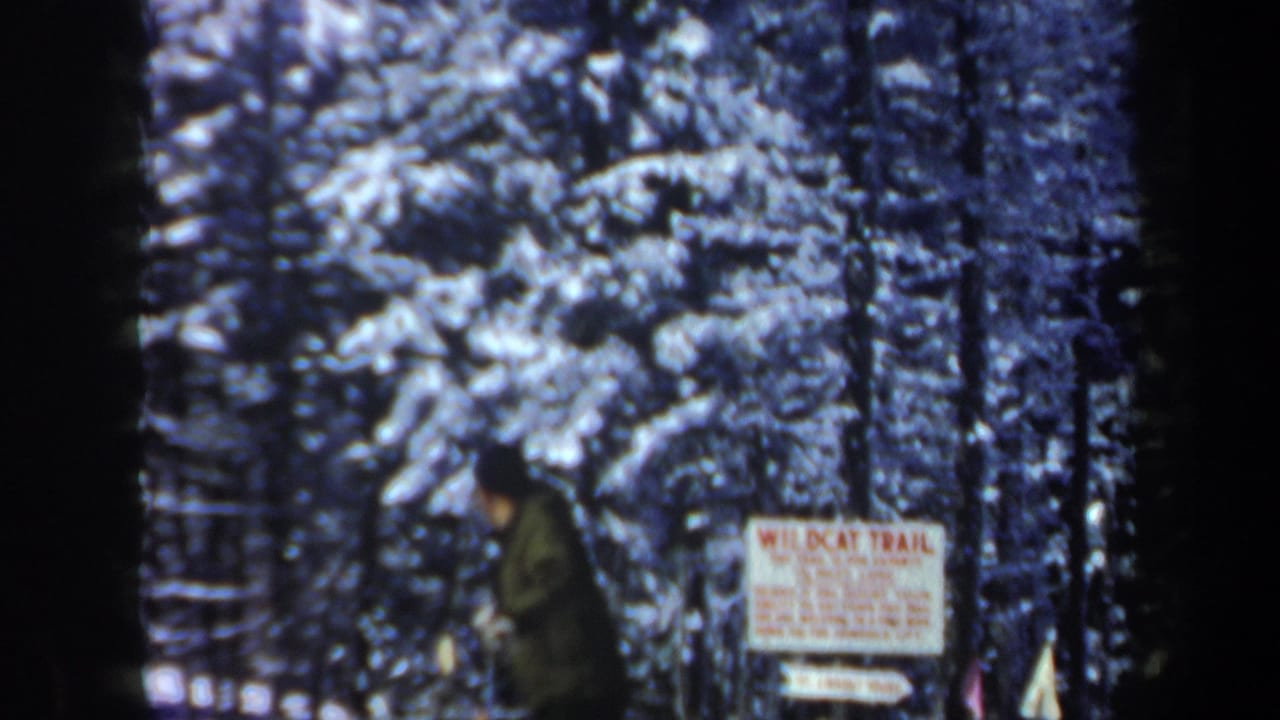 Skier near a Wildcat Trail sign with snow-laden trees behind them.