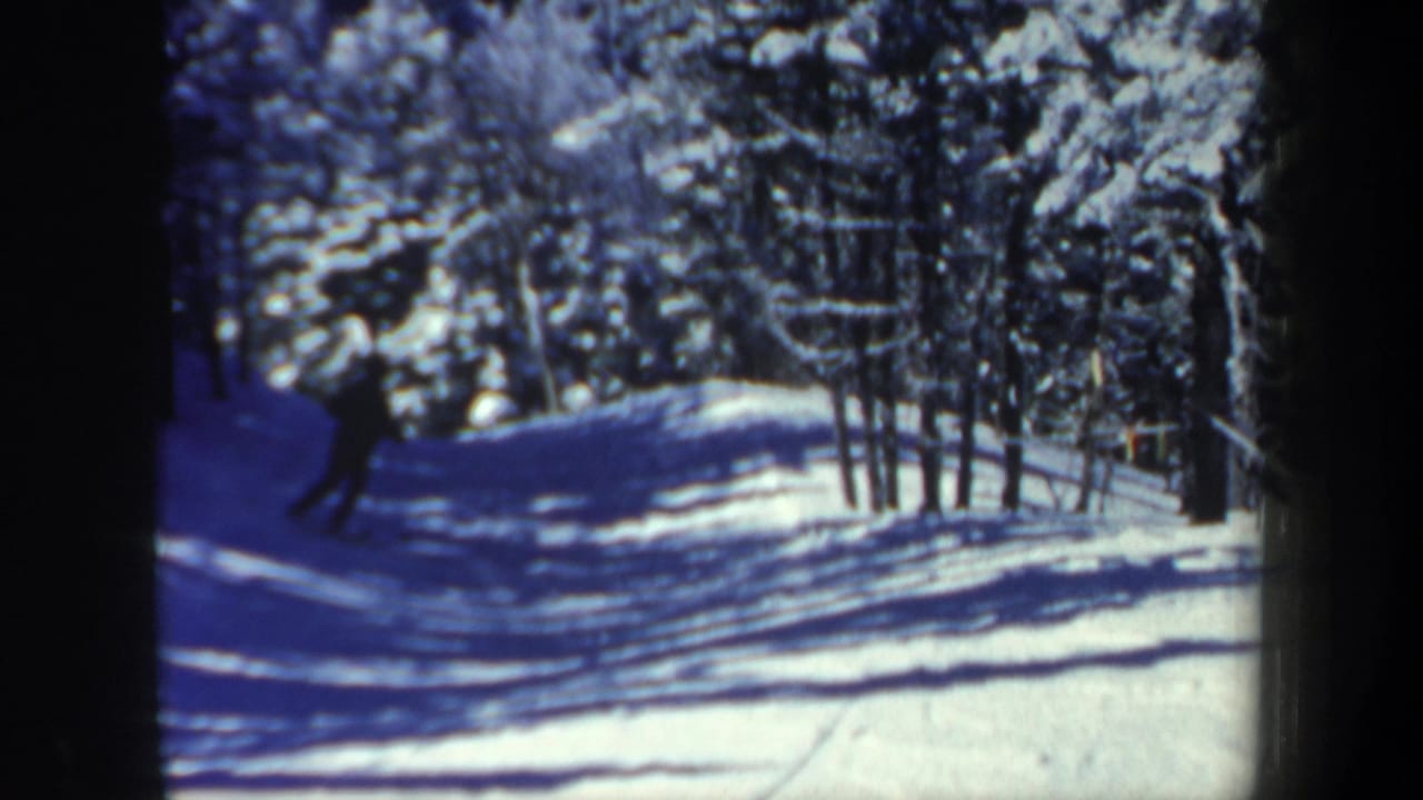 A skier descends a snowy trail through trees.