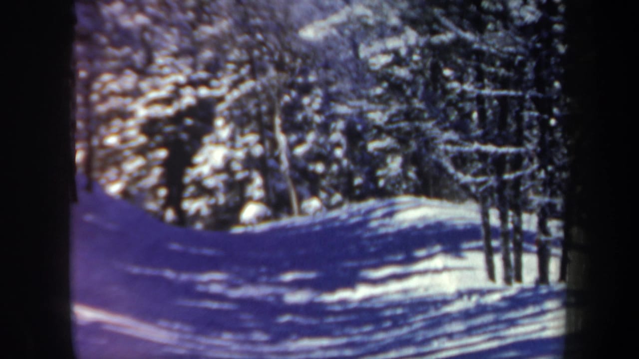 A skier appears near the edge of a snowy forest trail in 1962 New Hampshire 8mm footage.