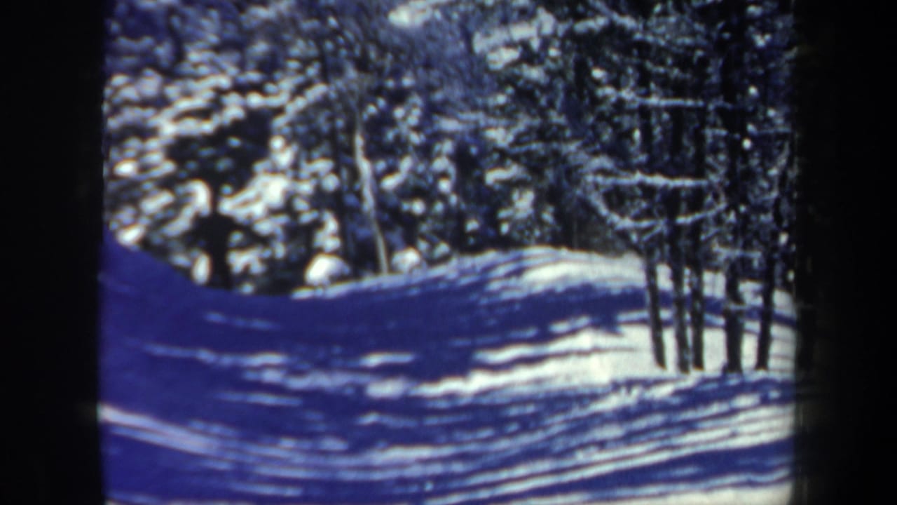 1962 New Hampshire 8mm frame showing a snow-covered wooded hillside with evergreen trees and strong blue shadows.
