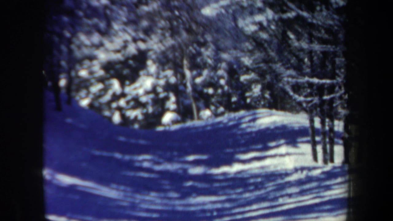Snowy forest trail with trees and shadowed slope in bright winter light.