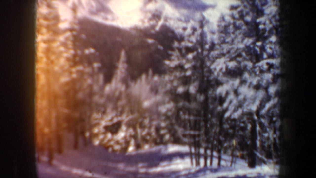 Sunlit snowy forest and ski slope with warm film flare near the trees.