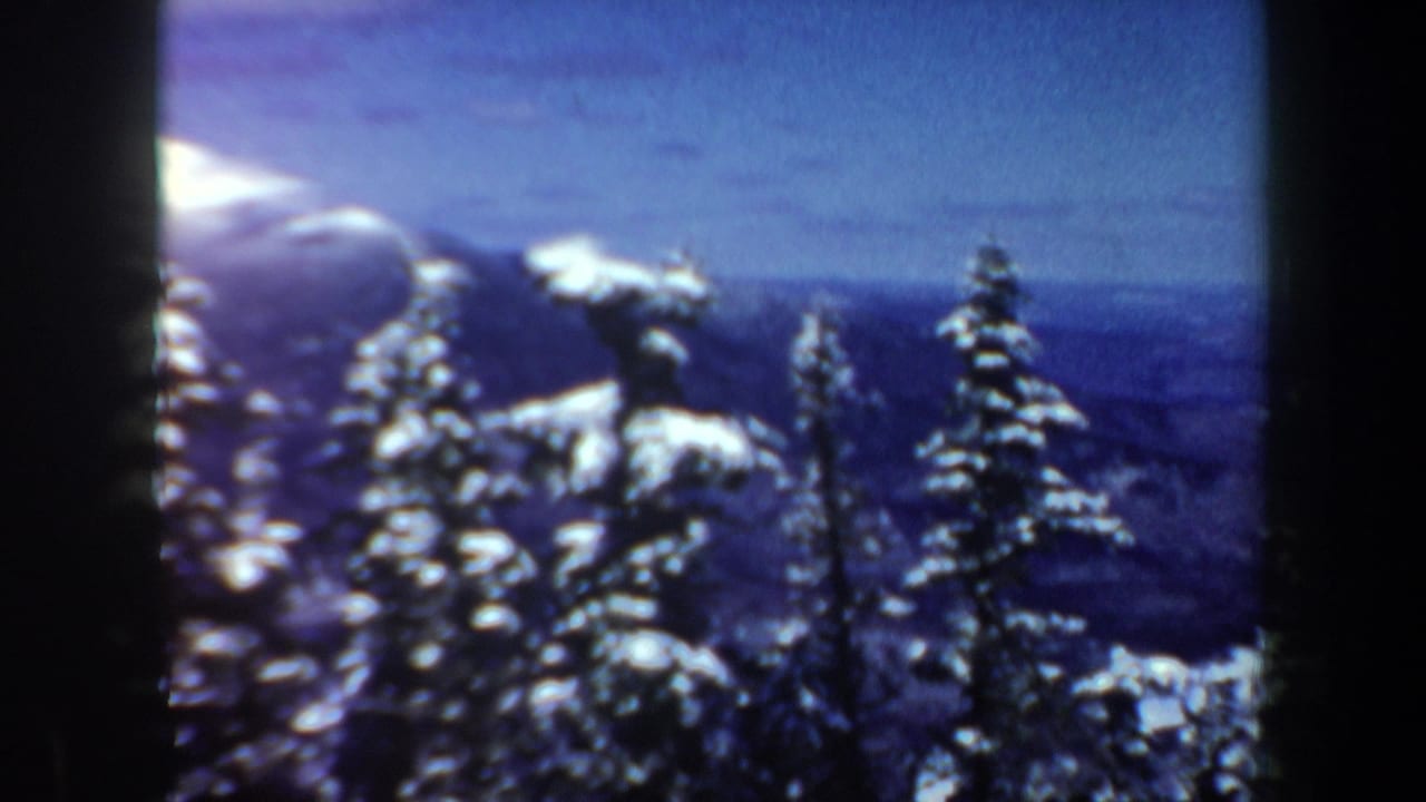 Snow-covered evergreens on a mountain slope with distant blue ridges under a clear sky.