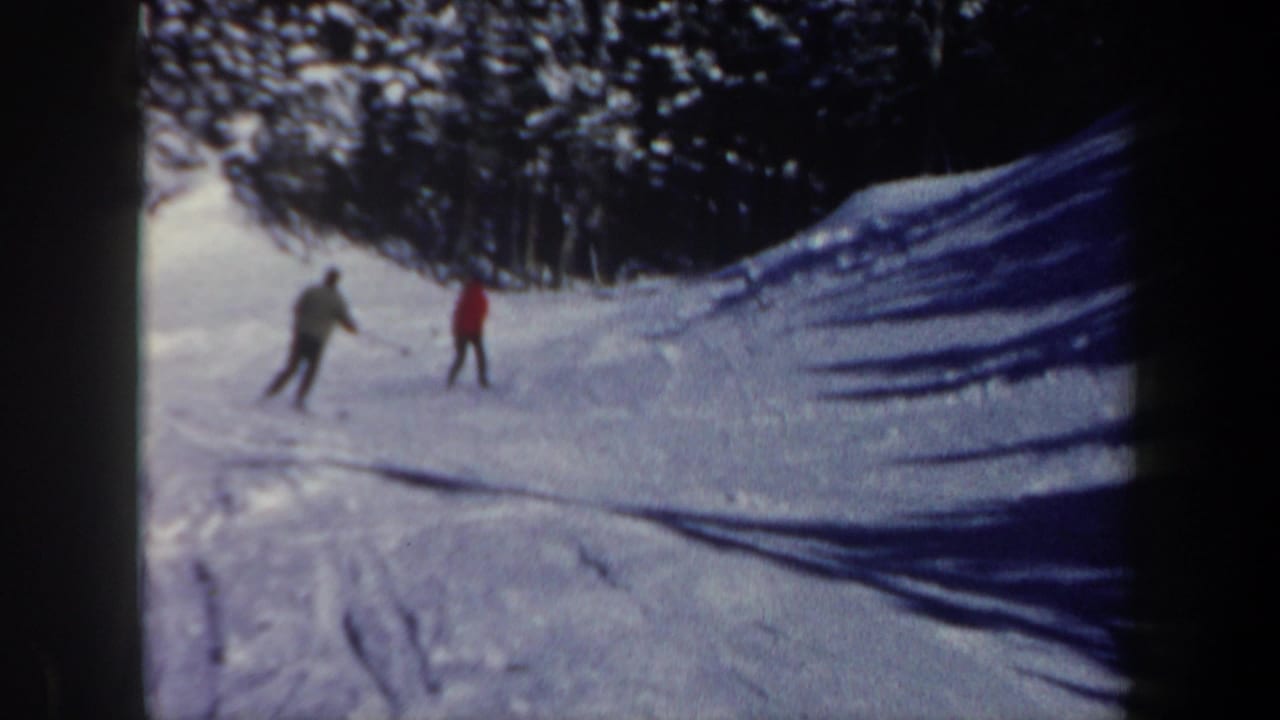 Two skiers stand or move on a snowy forested slope.