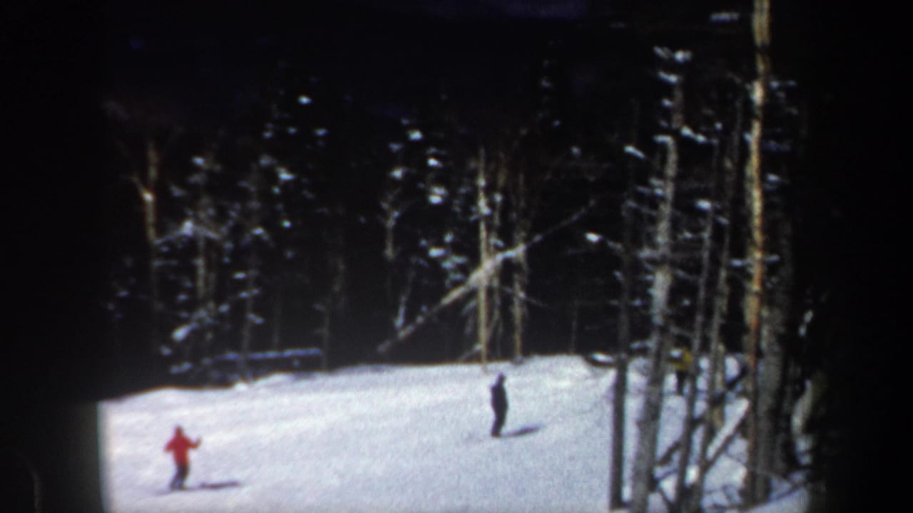 Two skiers, one in red and one in dark clothing, glide across a bright New Hampshire slope with trees at the edge.