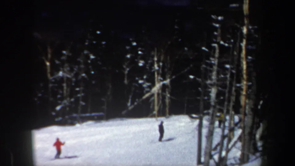 Two skiers, one in red and one in dark clothing, glide across a bright New Hampshire slope with trees at the edge.