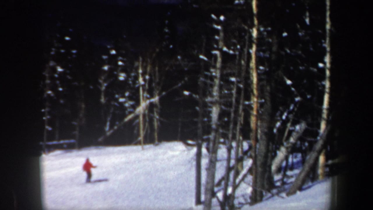 Skier in a red jacket on a snowy slope bordered by tall trees.