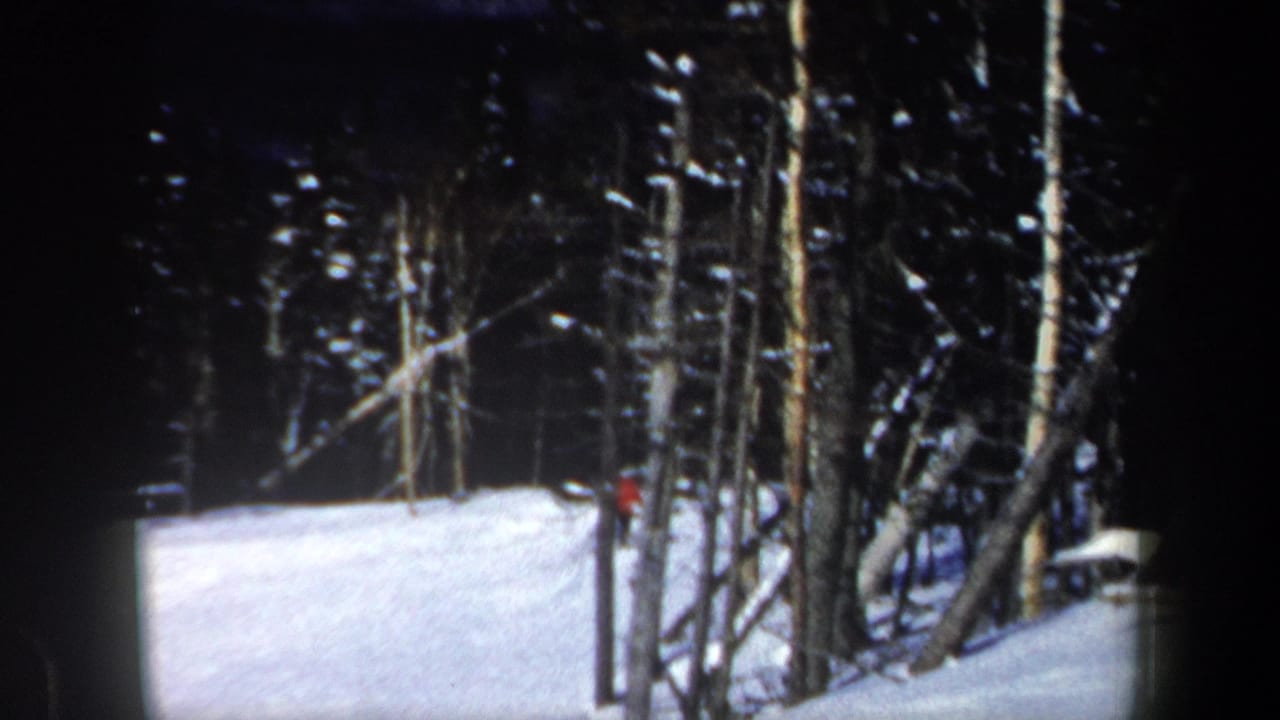 Distant skier near trees on a bright snow-covered run.