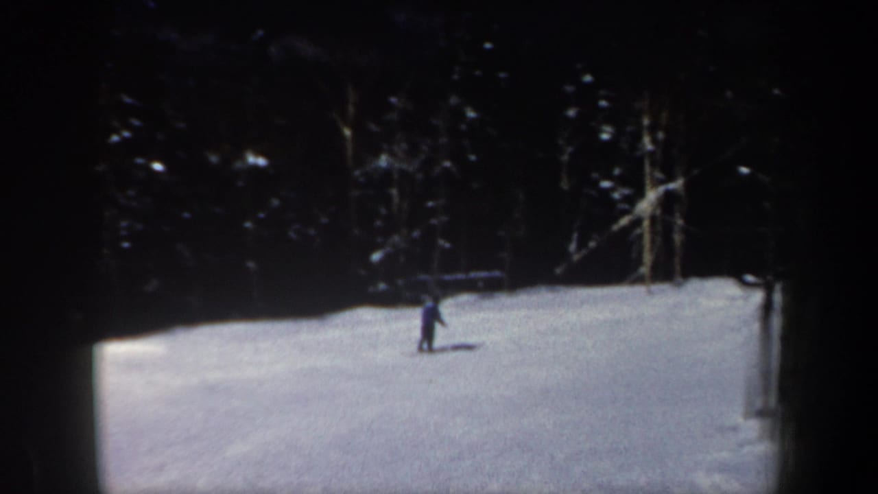 Small skier standing or gliding on a bright snow slope near trees.