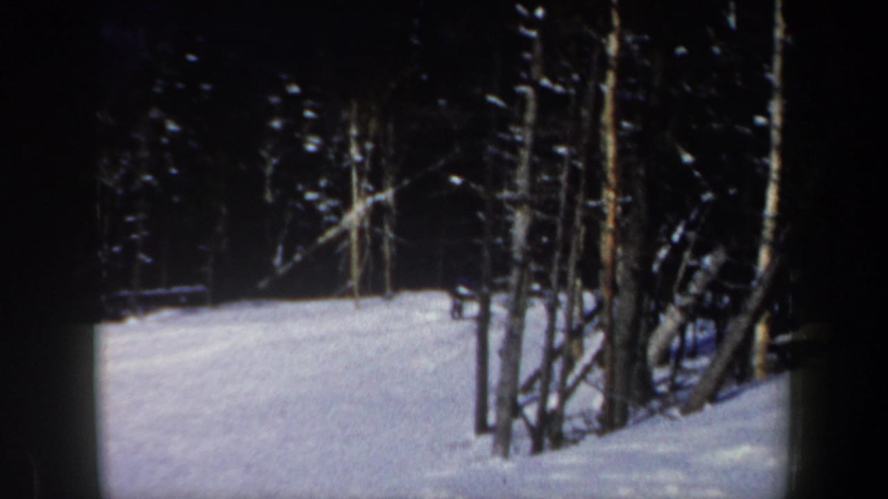 8mm frame from the New Hampshire ski scene showing tree trunks, snow cover, and the edge of a wooded slope.