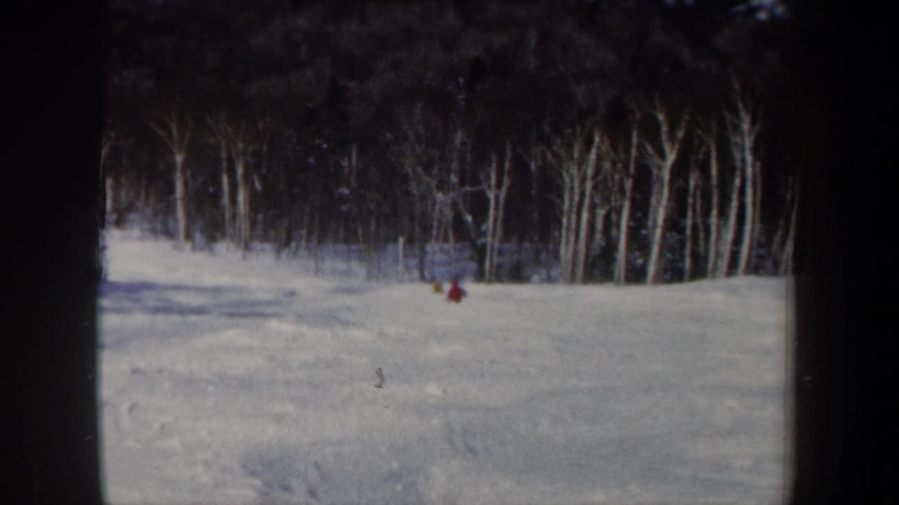 Distant skiers descend a snowy open slope in front of leafless trees.