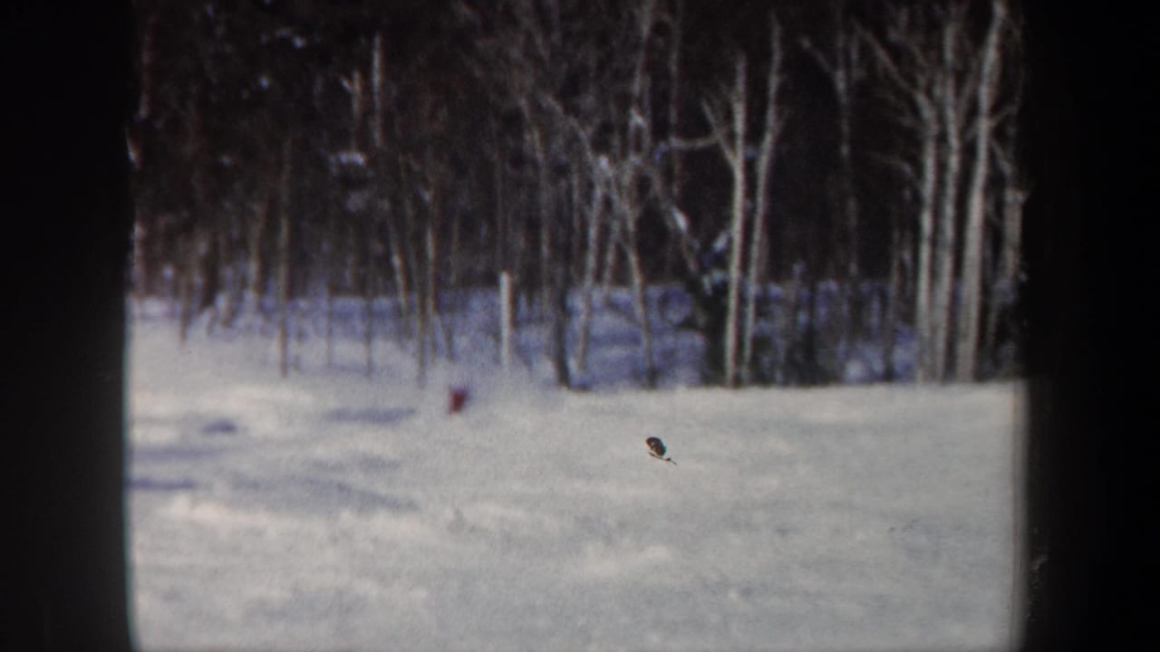 1962 New Hampshire ski-practice frame with a distant figure appearing to fall or crouch on the snow near a wooded edge.