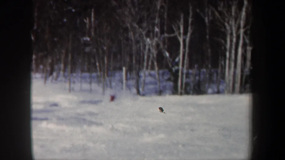 1962 New Hampshire ski-practice frame with a distant figure appearing to fall or crouch on the snow near a wooded edge.