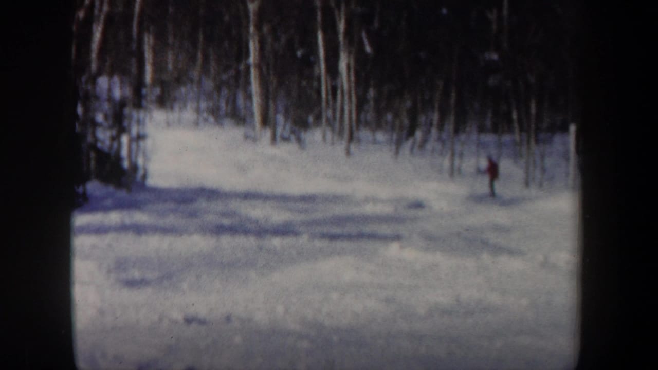 A skier appears near the edge of a snowy slope lined with bare trees.