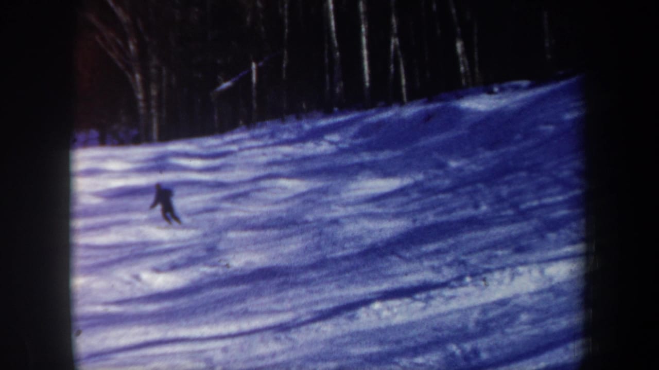 Distant skier moves across a snowy slope bordered by bare trees.