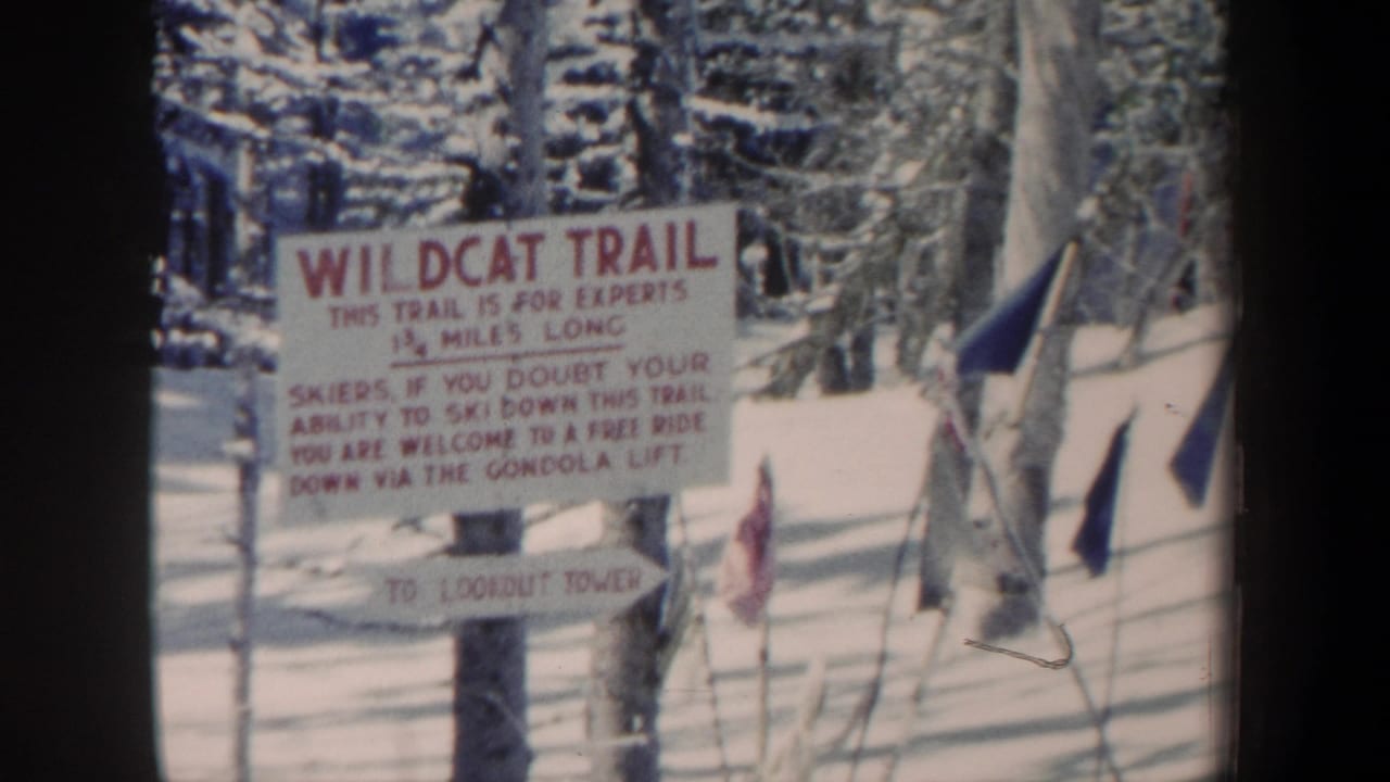 Close view of a Wildcat Trail sign in snowy woods, warning that the trail is for expert skiers.