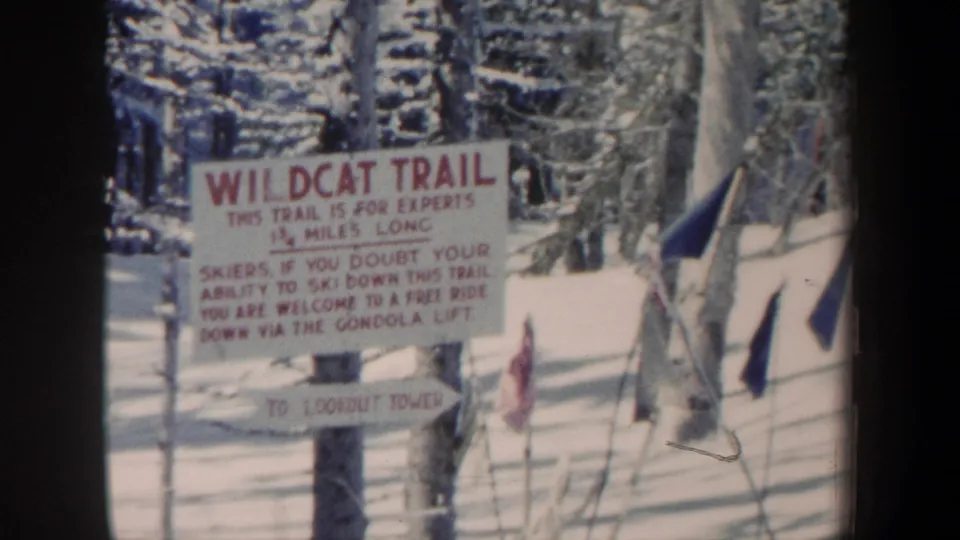 Close view of a Wildcat Trail sign in snowy woods, warning that the trail is for expert skiers.