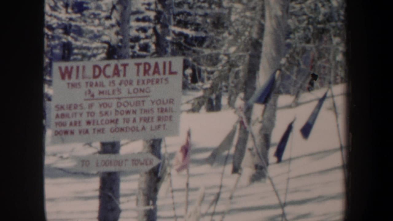 Snowy forest sign for Wildcat Trail with poles and flag beside it.