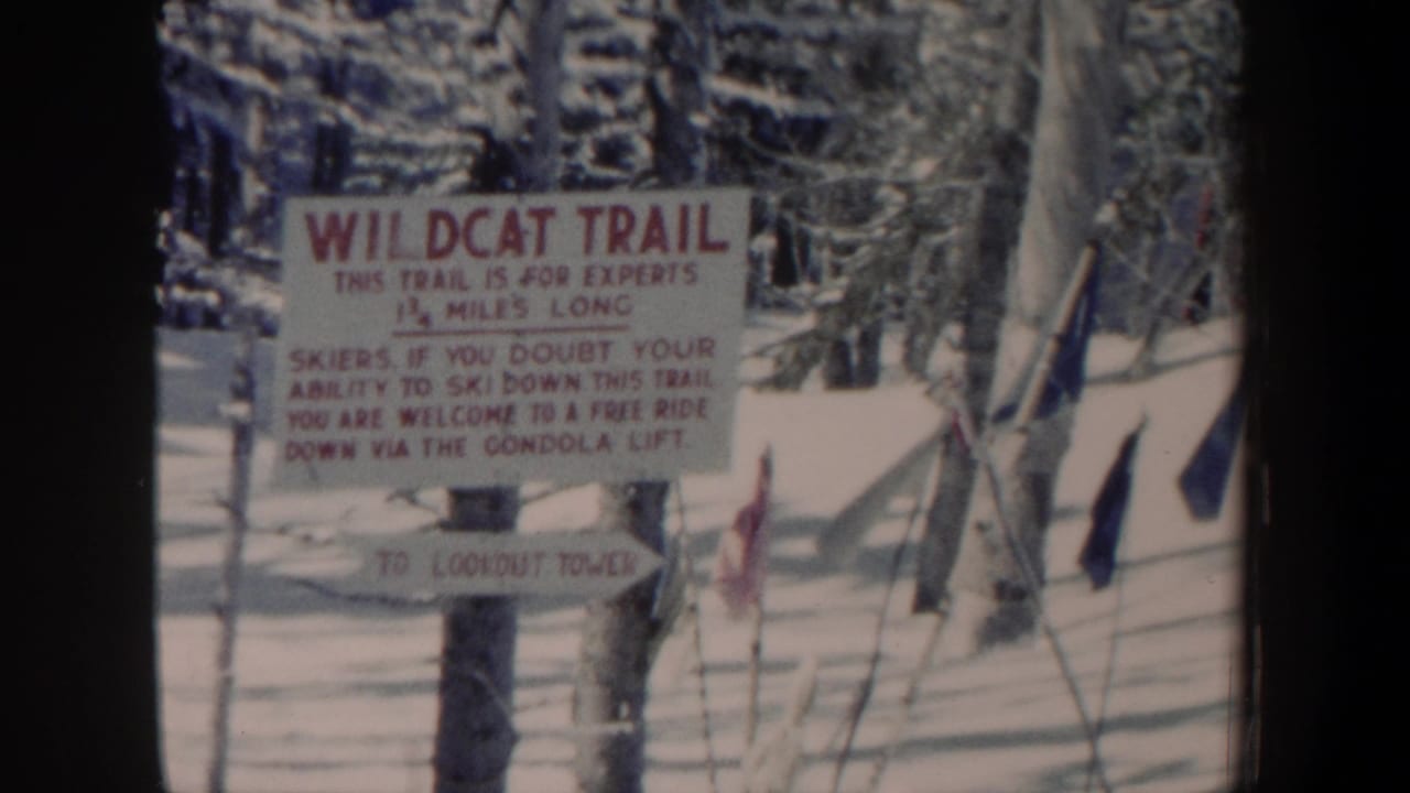 Wildcat Trail sign with snowy trees and poles in the background.