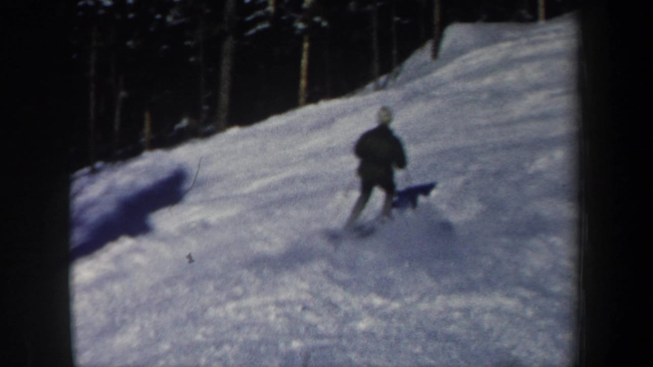 Skier descending a snowy hill near a dark evergreen forest.