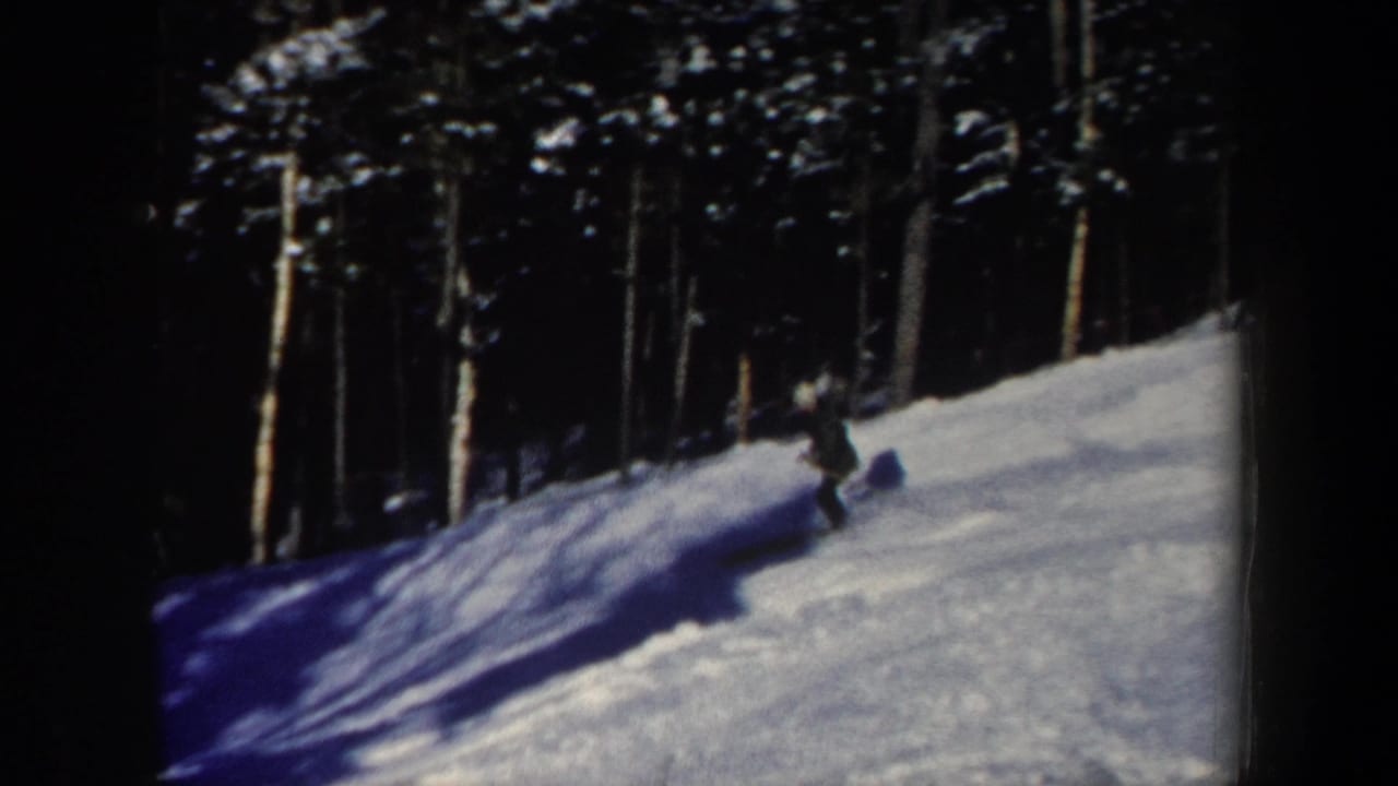 The skier appears near the wooded edge of the slope, partly silhouetted against bright snow and deep tree shadows.