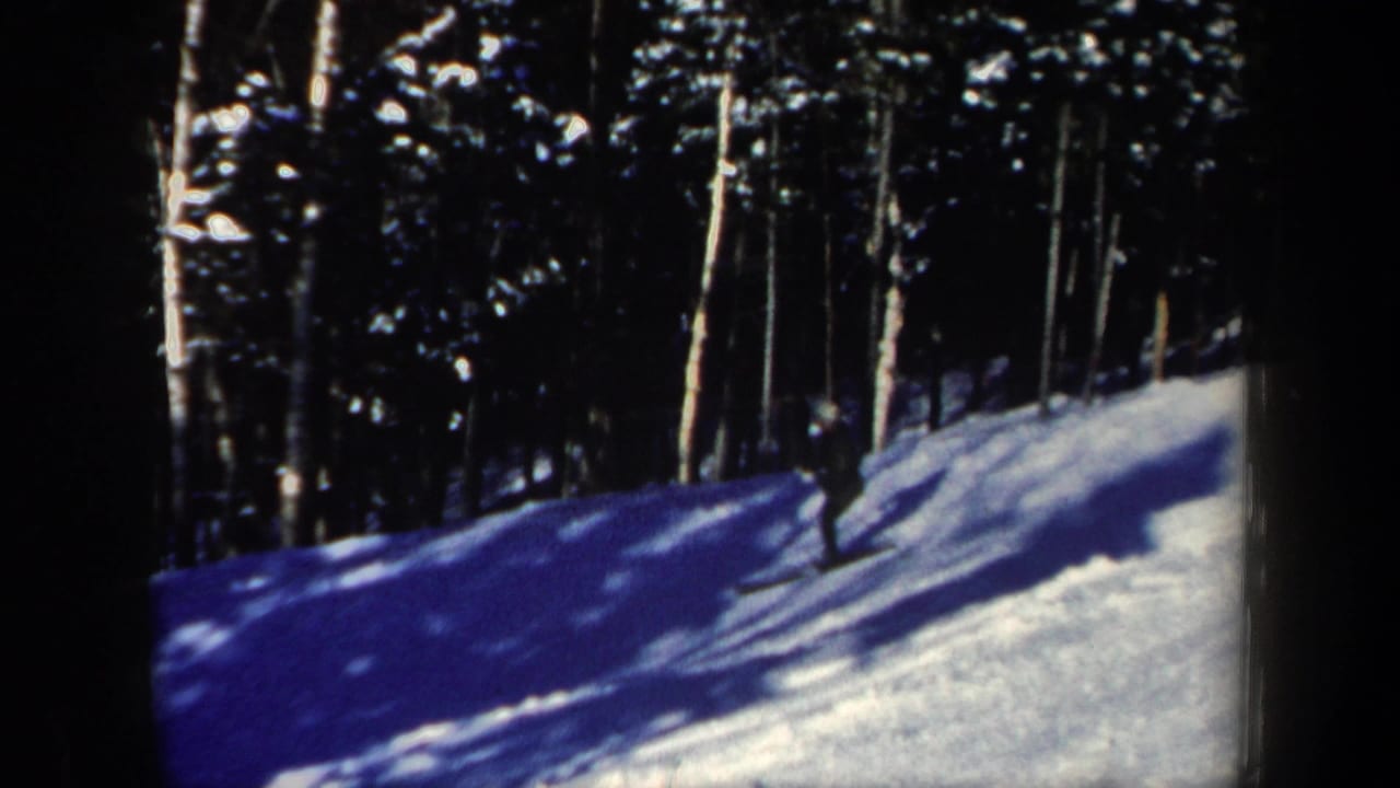 Skier on a snowy wooded slope, partly obscured by dark trees and blue shadows.