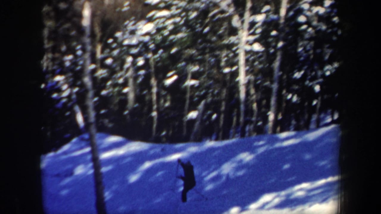 Dark-clothed skier descending a snowy slope among tall winter trees.