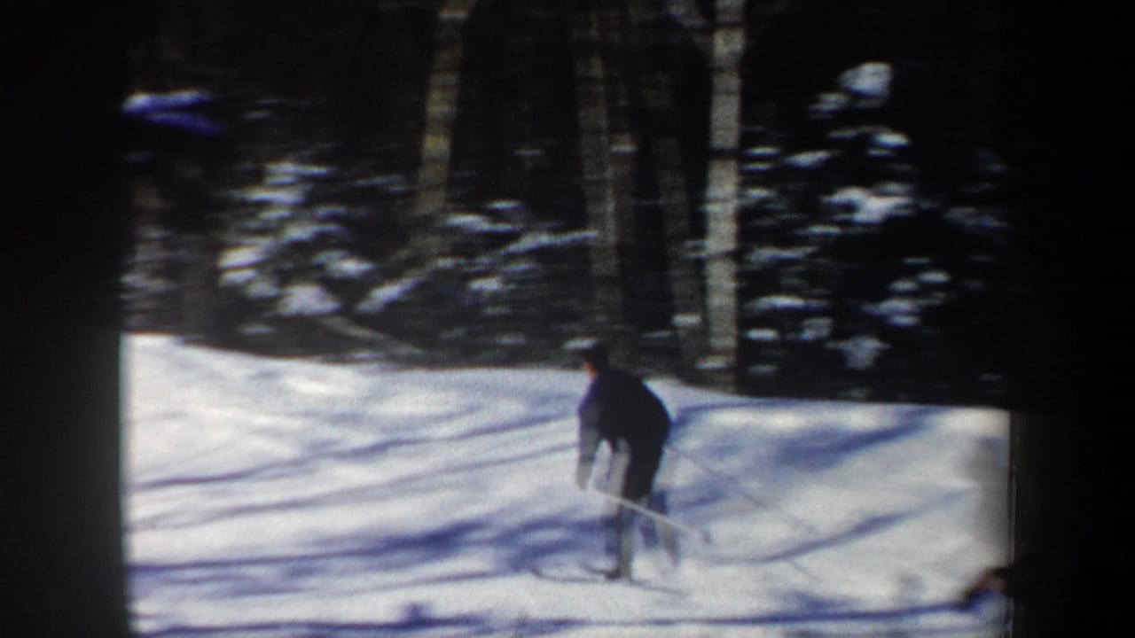 A distant skier in dark clothing moves across a snowy wooded slope.