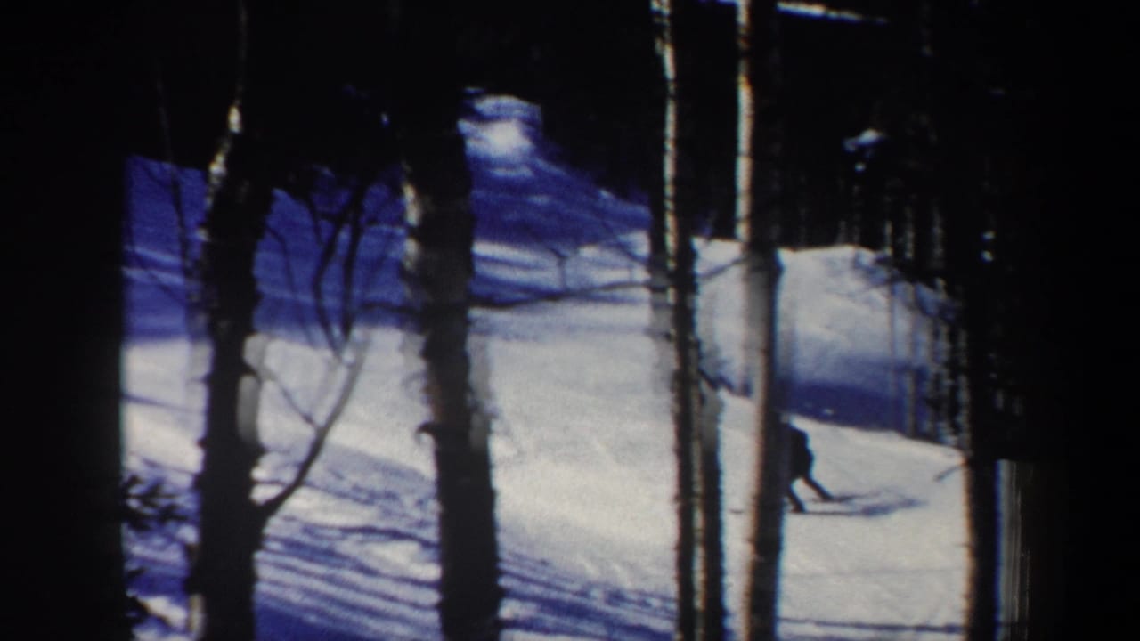 A skier appears near the right edge of a snowy forest scene.
